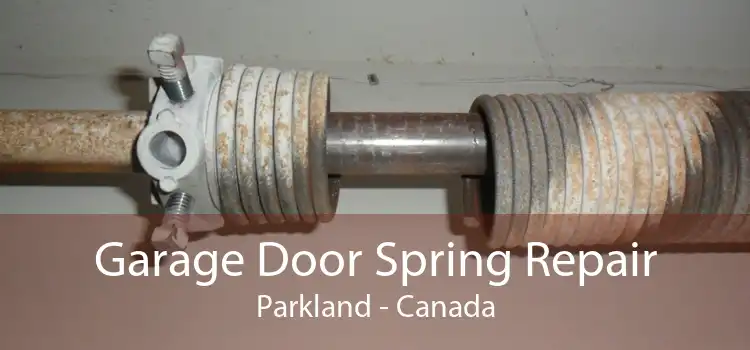 Garage Door Spring Repair Parkland - Canada