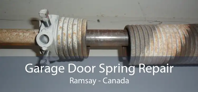Garage Door Spring Repair Ramsay - Canada