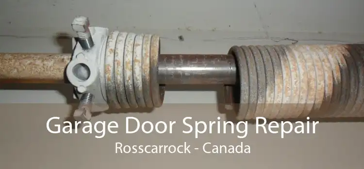 Garage Door Spring Repair Rosscarrock - Canada