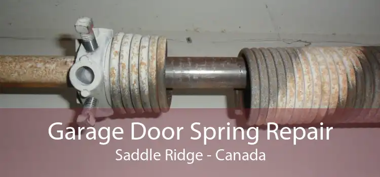 Garage Door Spring Repair Saddle Ridge - Canada