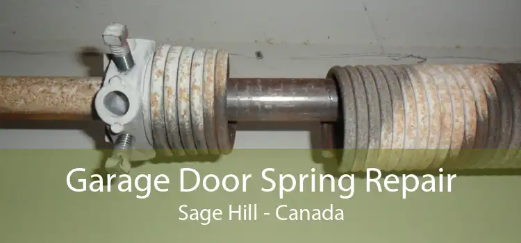 Garage Door Spring Repair Sage Hill - Canada