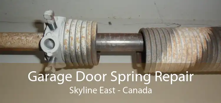 Garage Door Spring Repair Skyline East - Canada