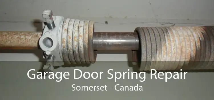 Garage Door Spring Repair Somerset - Canada