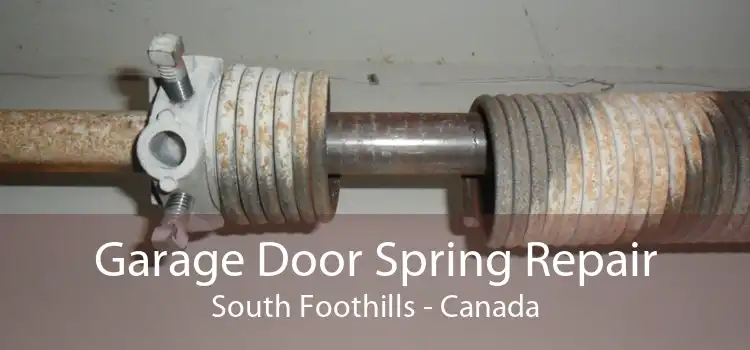 Garage Door Spring Repair South Foothills - Canada