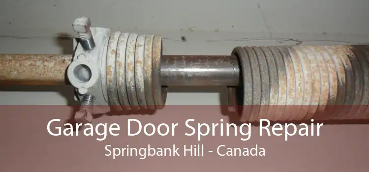 Garage Door Spring Repair Springbank Hill - Canada