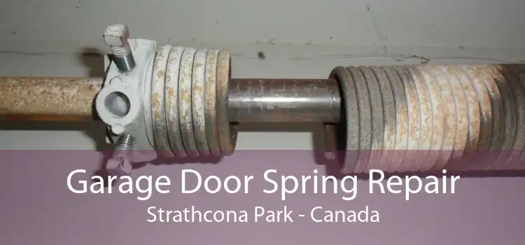 Garage Door Spring Repair Strathcona Park - Canada