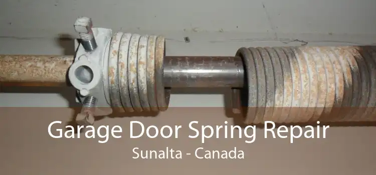 Garage Door Spring Repair Sunalta - Canada