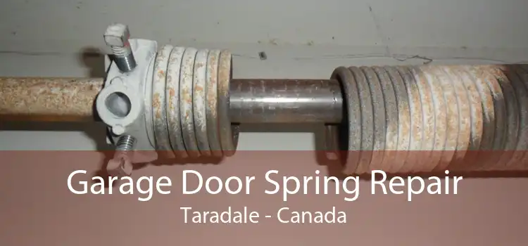 Garage Door Spring Repair Taradale - Canada