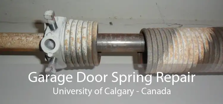 Garage Door Spring Repair University of Calgary - Canada
