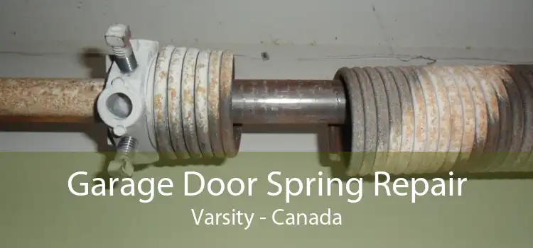 Garage Door Spring Repair Varsity - Canada