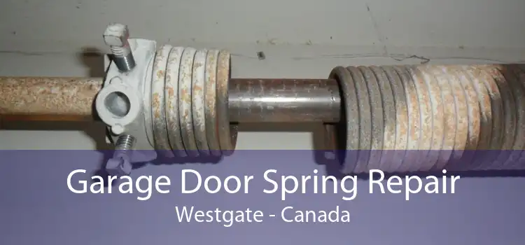 Garage Door Spring Repair Westgate - Canada