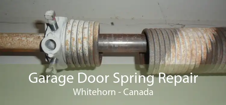 Garage Door Spring Repair Whitehorn - Canada
