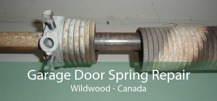Garage Door Spring Repair Wildwood - Canada