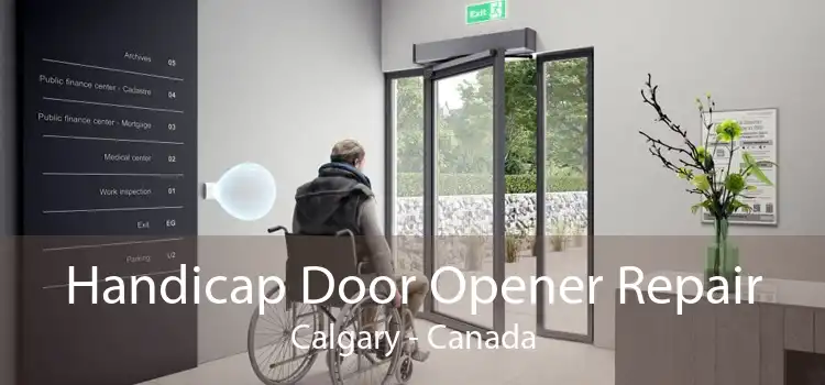 Handicap Door Opener Repair Calgary - Canada