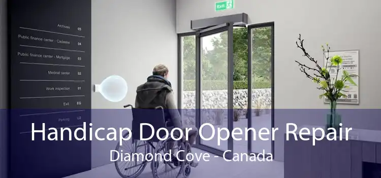 Handicap Door Opener Repair Diamond Cove - Canada