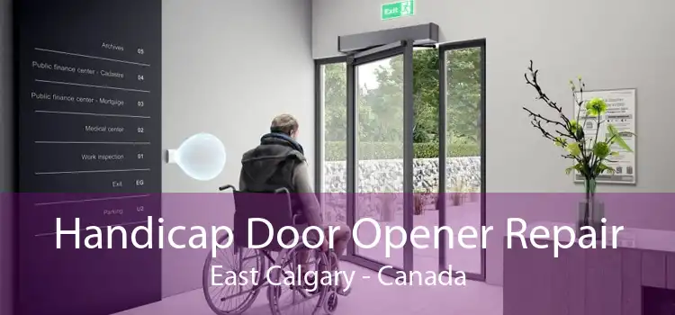 Handicap Door Opener Repair East Calgary - Canada