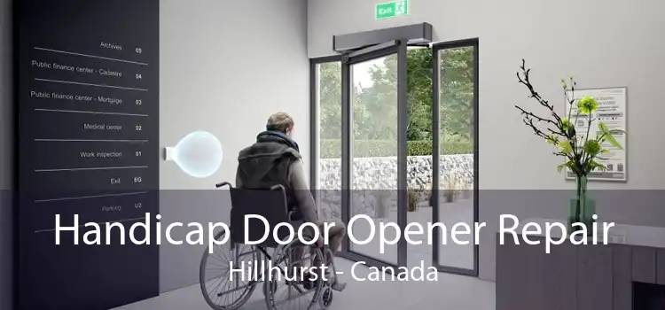 Handicap Door Opener Repair Hillhurst - Canada