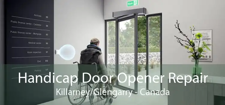 Handicap Door Opener Repair Killarney/Glengarry - Canada