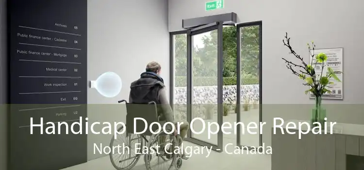 Handicap Door Opener Repair North East Calgary - Canada