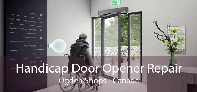 Handicap Door Opener Repair Ogden Shops - Canada