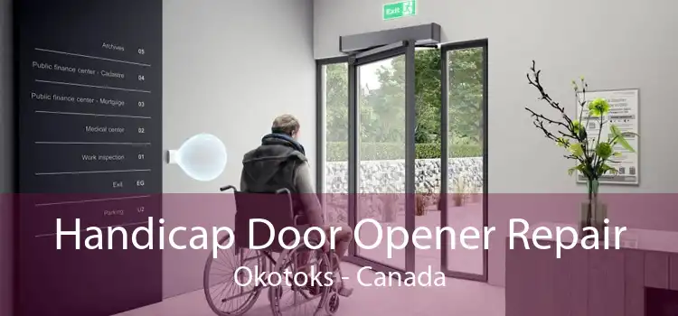 Handicap Door Opener Repair Okotoks - Canada