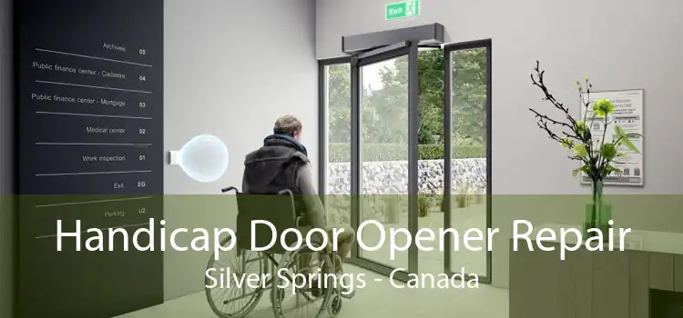 Handicap Door Opener Repair Silver Springs - Canada