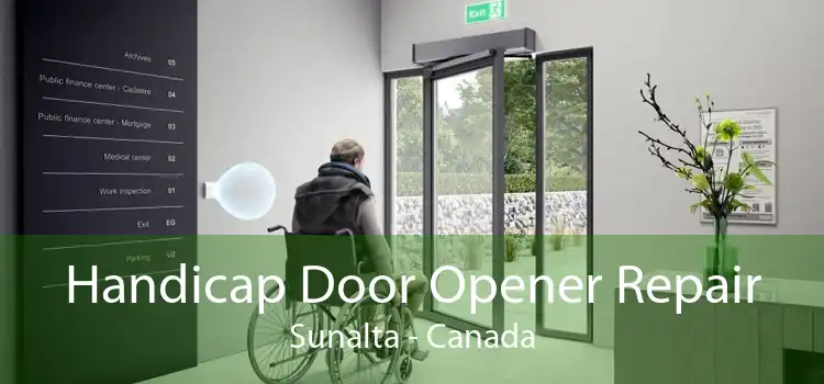 Handicap Door Opener Repair Sunalta - Canada