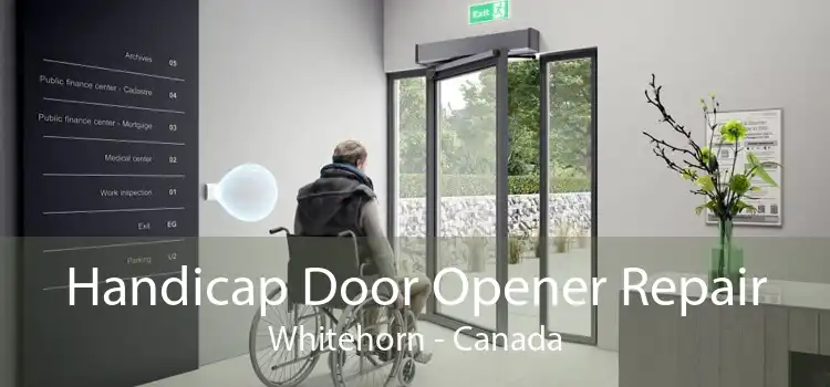 Handicap Door Opener Repair Whitehorn - Canada