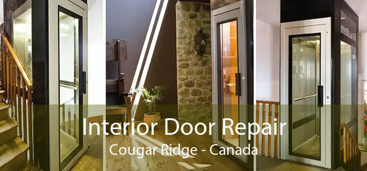 Interior Door Repair Cougar Ridge - Canada