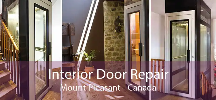 Interior Door Repair Mount Pleasant - Canada