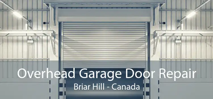 Overhead Garage Door Repair Briar Hill - Canada