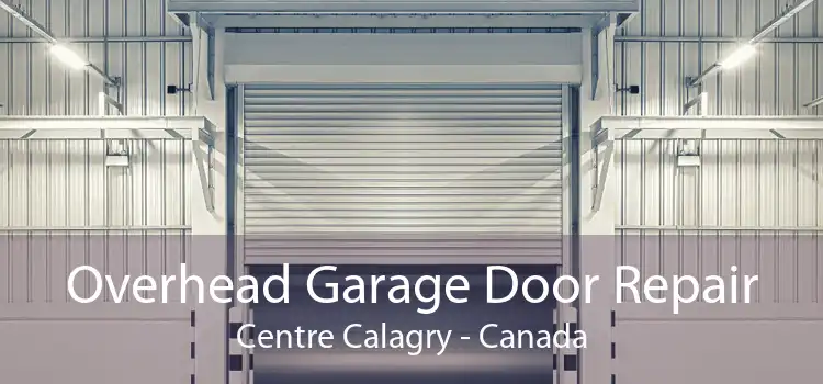 Overhead Garage Door Repair Centre Calagry - Canada