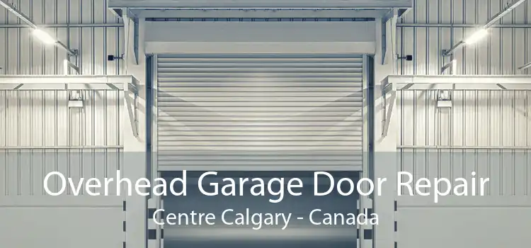 Overhead Garage Door Repair Centre Calgary - Canada