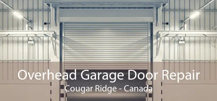 Overhead Garage Door Repair Cougar Ridge - Canada