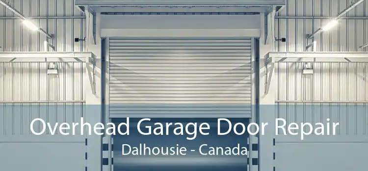 Overhead Garage Door Repair Dalhousie - Canada