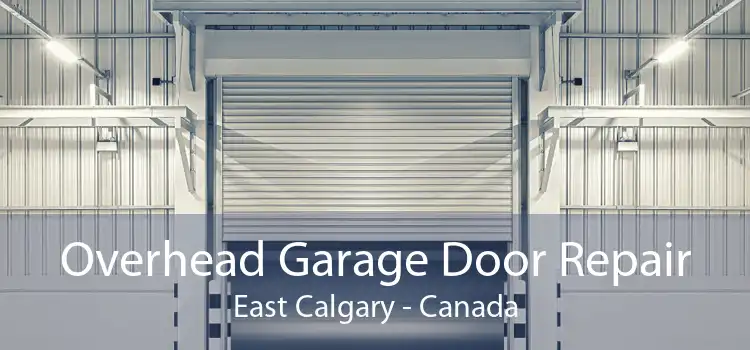 Overhead Garage Door Repair East Calgary - Canada