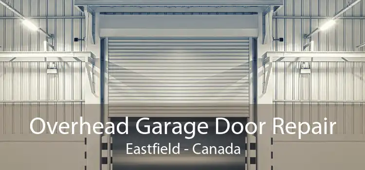 Overhead Garage Door Repair Eastfield - Canada