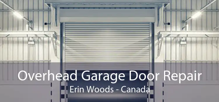 Overhead Garage Door Repair Erin Woods - Canada