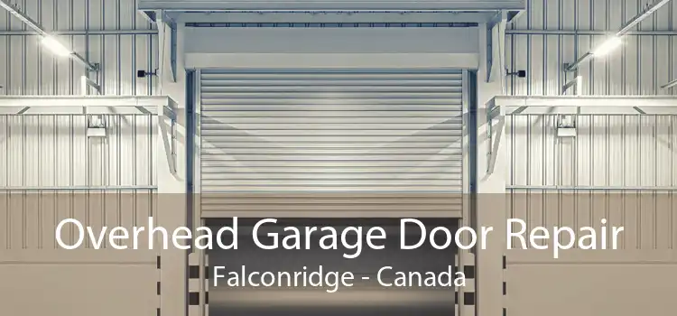 Overhead Garage Door Repair Falconridge - Canada