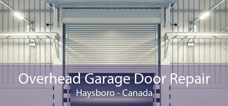 Overhead Garage Door Repair Haysboro - Canada