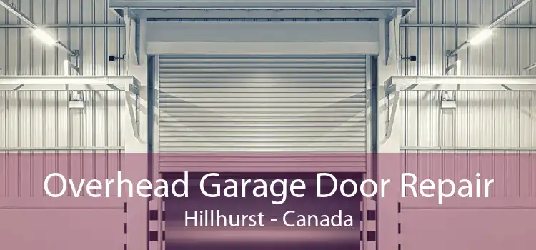 Overhead Garage Door Repair Hillhurst - Canada