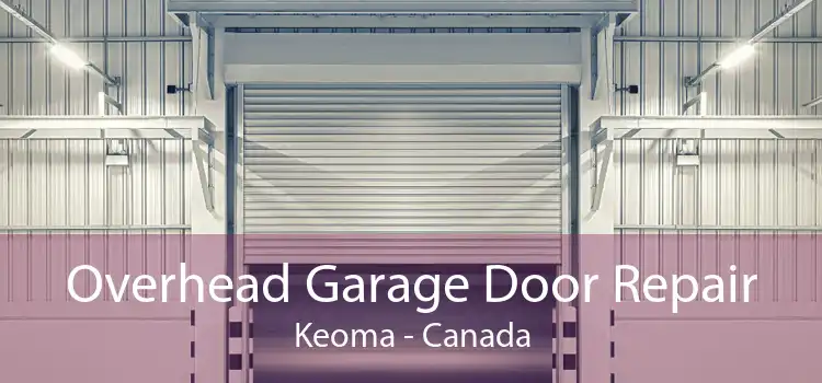 Overhead Garage Door Repair Keoma - Canada