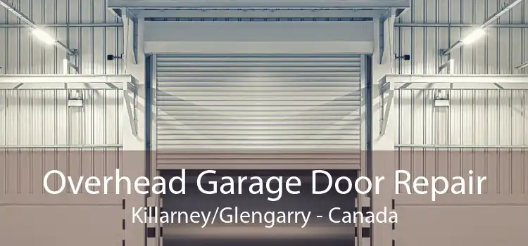 Overhead Garage Door Repair Killarney/Glengarry - Canada