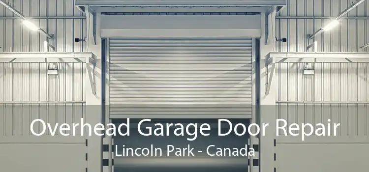 Overhead Garage Door Repair Lincoln Park - Canada