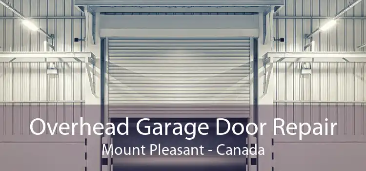 Overhead Garage Door Repair Mount Pleasant - Canada