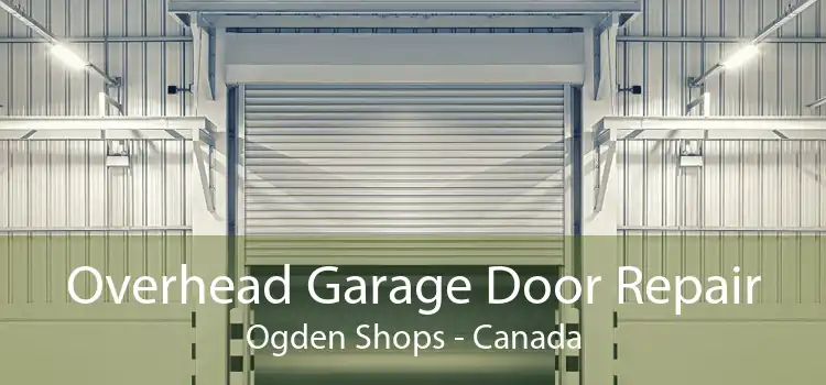 Overhead Garage Door Repair Ogden Shops - Canada