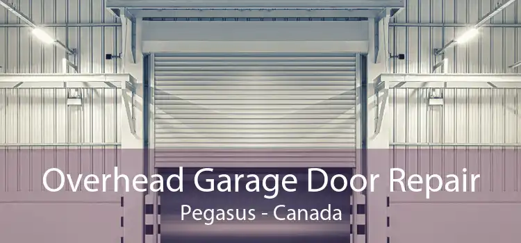Overhead Garage Door Repair Pegasus - Canada