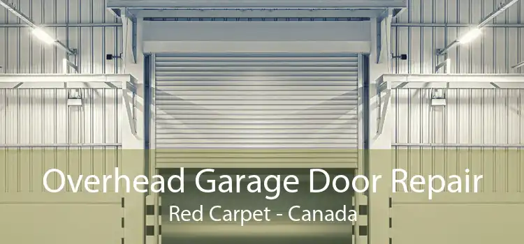 Overhead Garage Door Repair Red Carpet - Canada