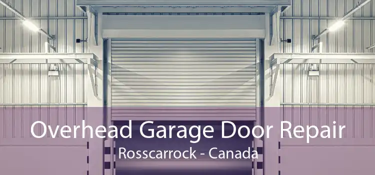 Overhead Garage Door Repair Rosscarrock - Canada