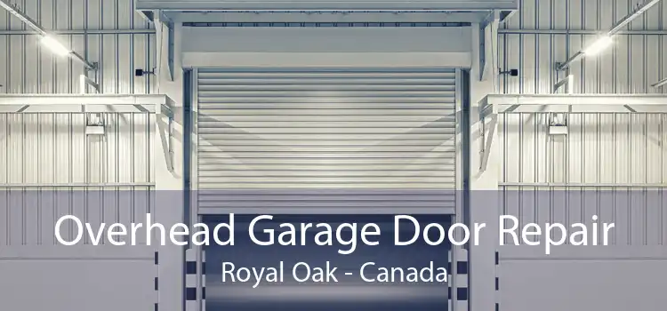 Overhead Garage Door Repair Royal Oak - Canada